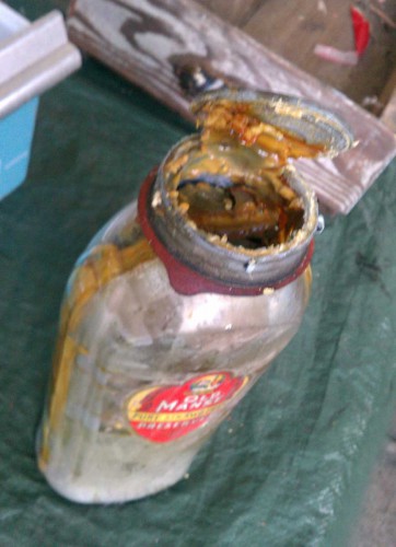 pried zinc lid off old jar