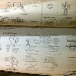 vintage educational school wall science charts