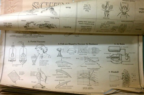 vintage educational school wall science charts