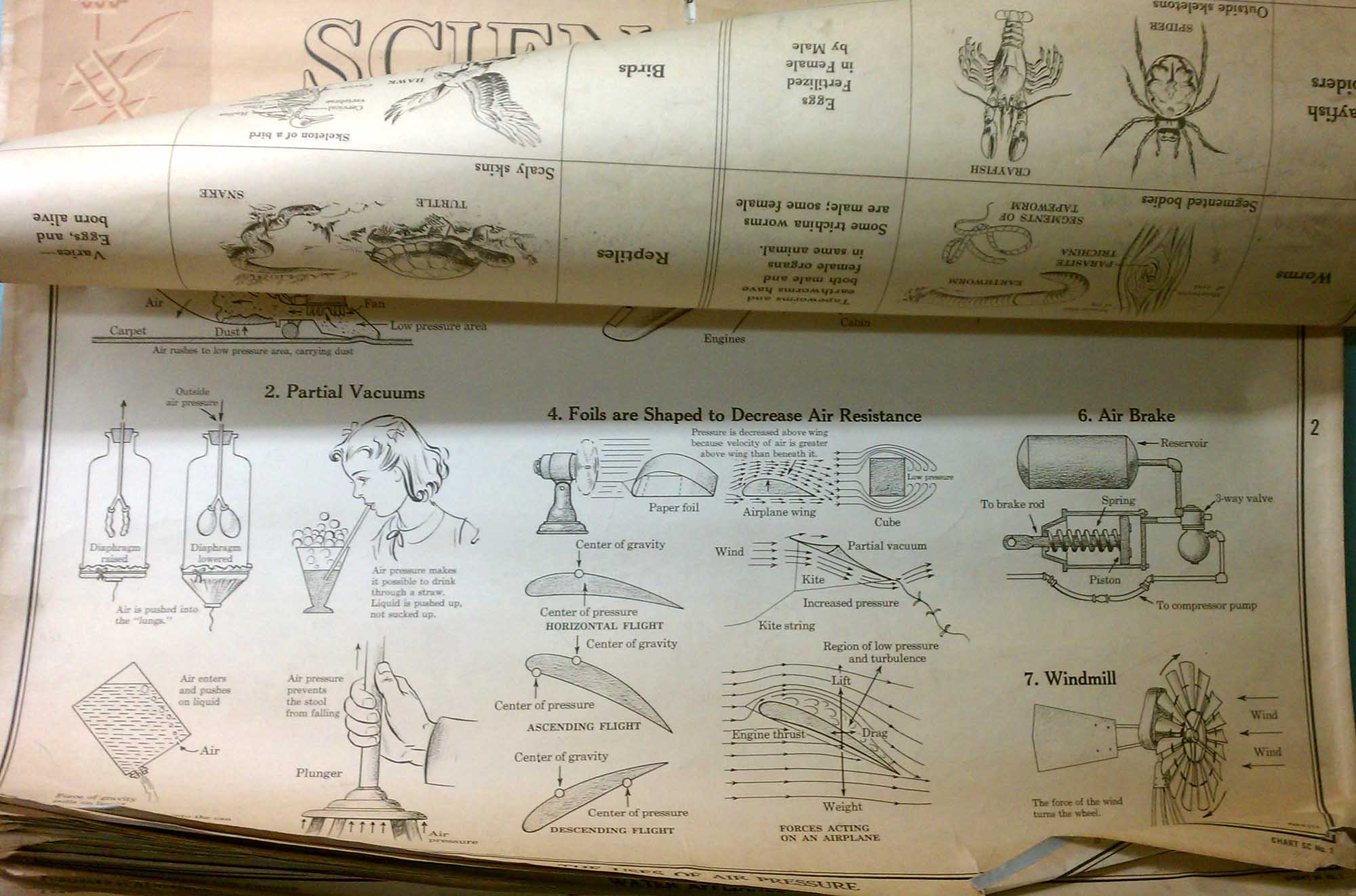 Flipping-Out Over Vintage Science Charts