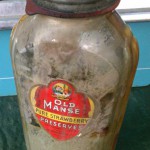 vintage old manse preserves bottle jar