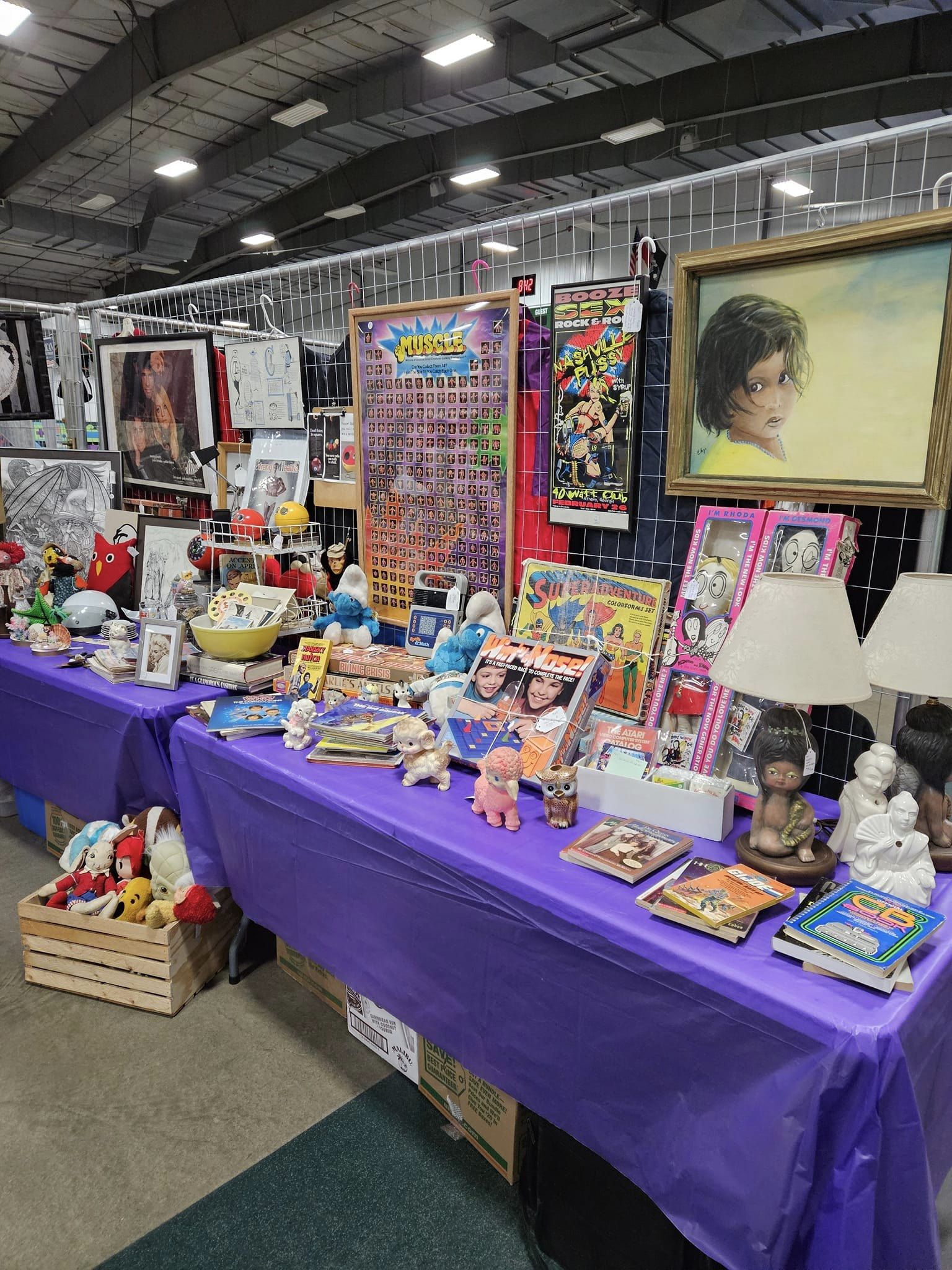 We Have Your Collectibles @ Totally Rad Vintage Fest – Fargo